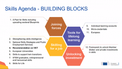Skills agenda structure