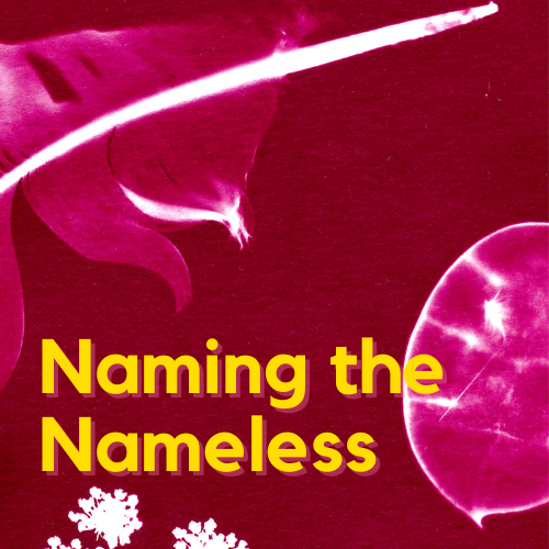 Beyond Learning Podcast illustration S02 E02, Naming the Nameless