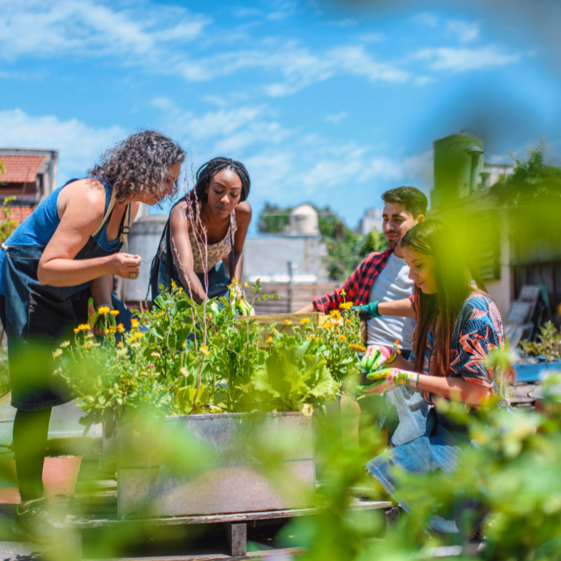 SMALEI Webinar 4: Awarness raising - an image showing people gathered in a garden working on repotting and smiling